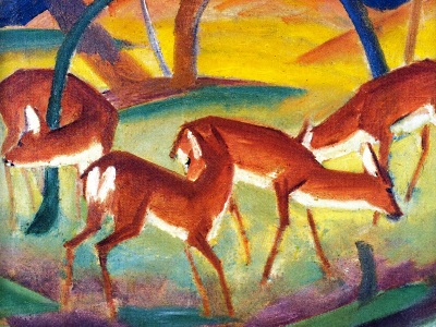 not a new law thumbnail